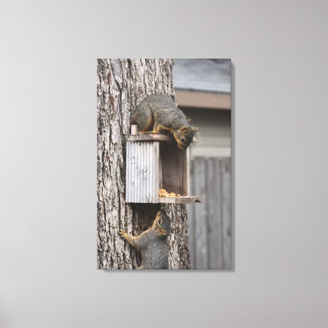 Eichhörnchen Canvas Print Leinwanddruck (Vorderseite)