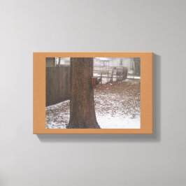 Eichhörnchen Canvas Print Leinwanddruck