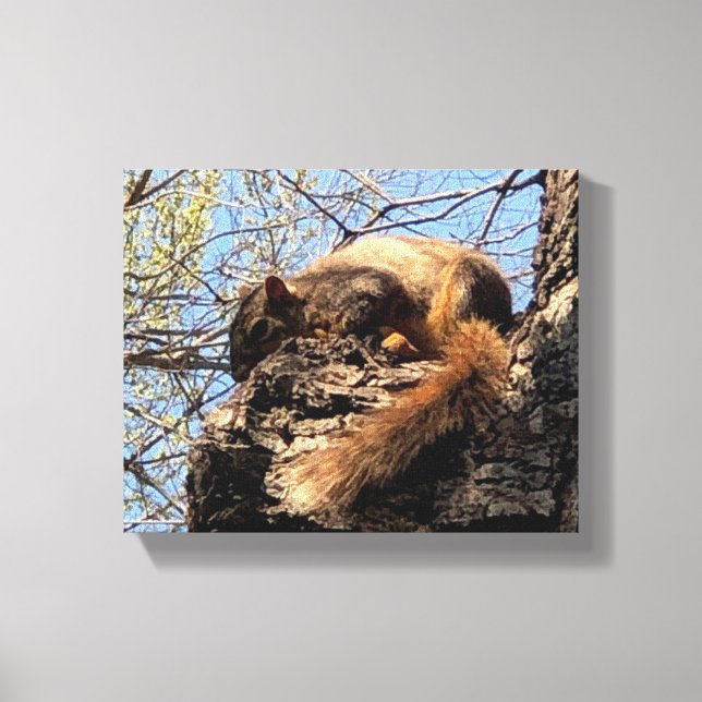 Eichhörnchen Canvas Print Leinwanddruck (Vorderseite)