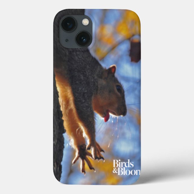 Eichhörnchen Case-Mate iPhone Hülle (Rückseite)