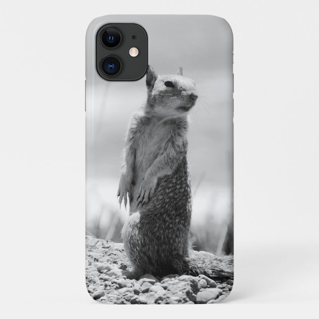 Eichhörnchen Case-Mate iPhone Hülle (Rückseite)