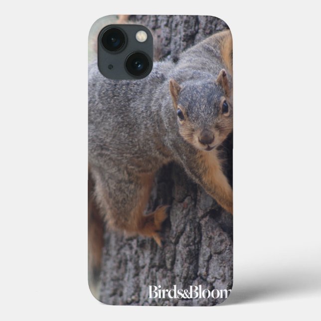 Eichhörnchen Case-Mate iPhone Hülle (Rückseite)