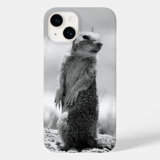 Eichhörnchen Case-Mate iPhone Hülle (Rückseite)