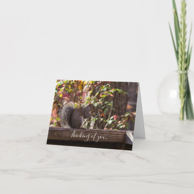 Eichhörnchen Chow Time Denken Sie an Ihre Karte (Vorderseite)