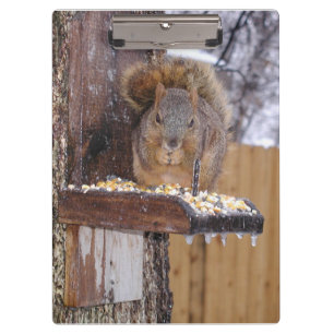Eichhörnchen Clipboard Klemmbrett