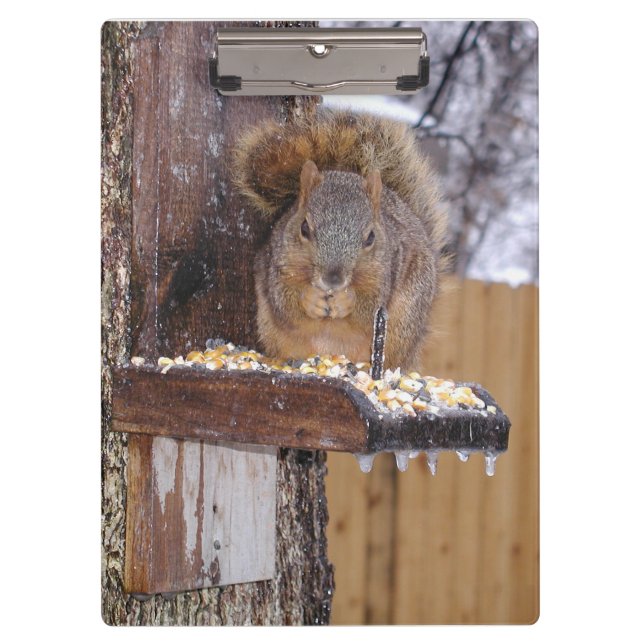 Eichhörnchen Clipboard Klemmbrett (Vorderseite)