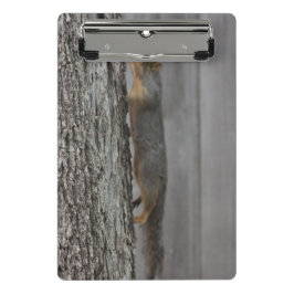 Eichhörnchen Clipboard Mini Klemmbrett