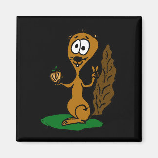 eichhörnchen comic magnet