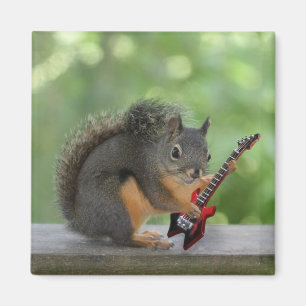 Eichhörnchen, das E-Gitarre spielt Magnet