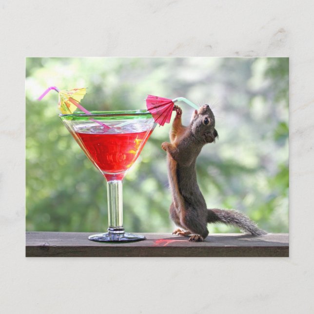 Eichhörnchen, das ein Cocktail an der glücklichen Postkarte (Vorderseite)