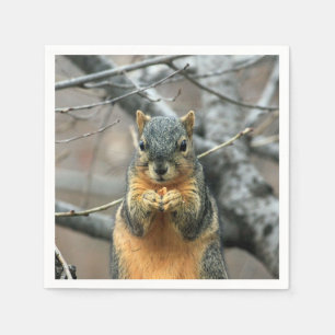 Eichhörnchen, das eine Nuss isst Serviette