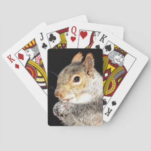 Eichhörnchen, das eine Nuss isst Spielkarten