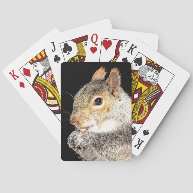Eichhörnchen, das eine Nuss isst Spielkarten (Rückseite)
