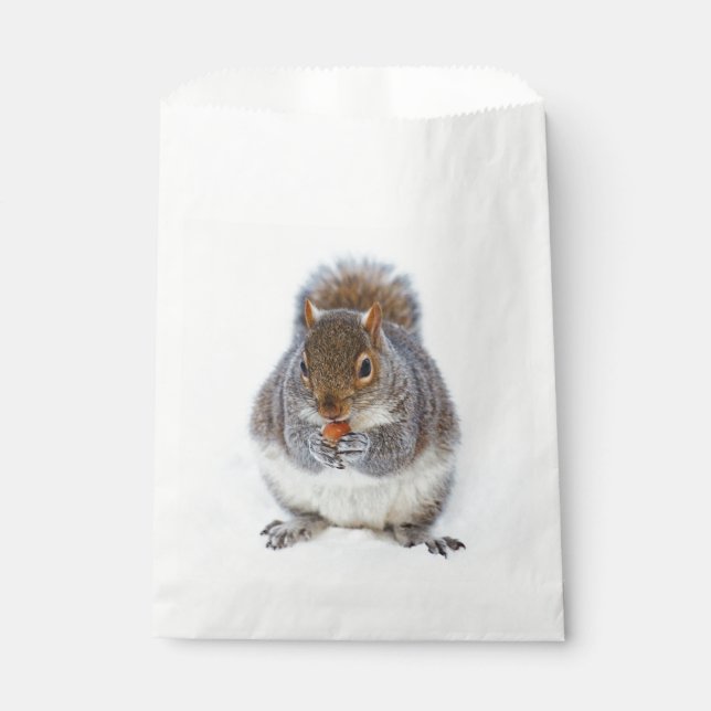 Eichhörnchen, das eine Nut Niedlich isst Geschenktütchen (Vorderseite)