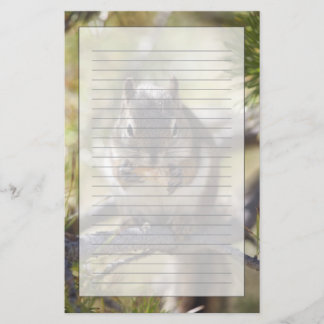 Eichhörnchen, das einen Kiefernkegel isst Briefpapier
