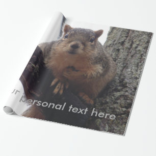 Eichhörnchen, das Ihr Geschenkpapier ansieht