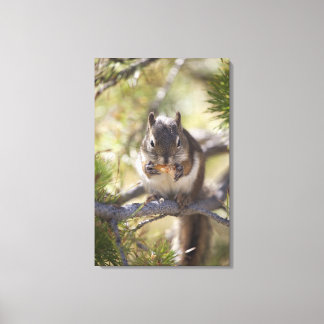 Eichhörnchen, das Kiefernzapfen 2 isst Leinwanddruck