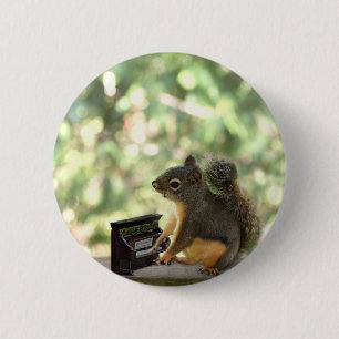 Eichhörnchen, das Klavier spielt Button