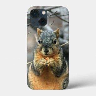 Eichhörnchen, der eine Nut isst Case-Mate iPhone Hülle