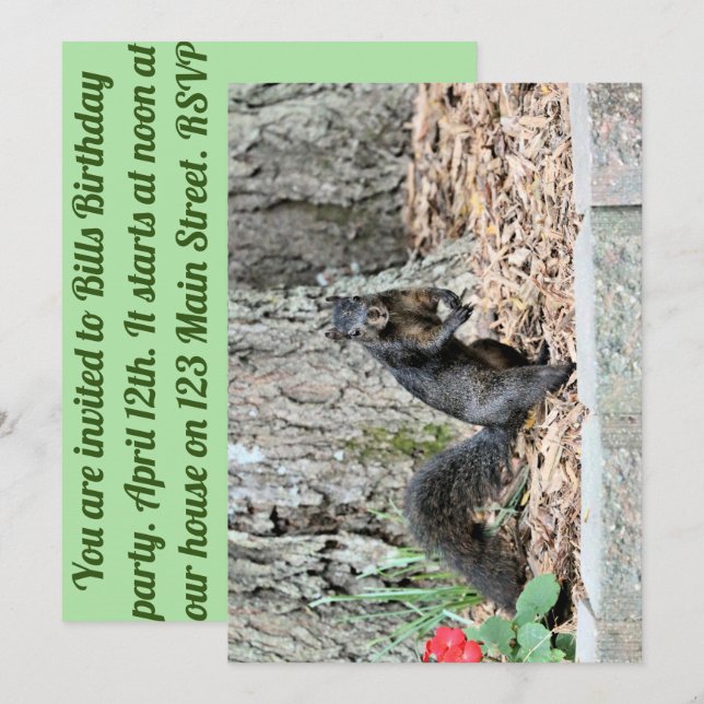 Eichhörnchen Einladung (Vorne/Hinten)