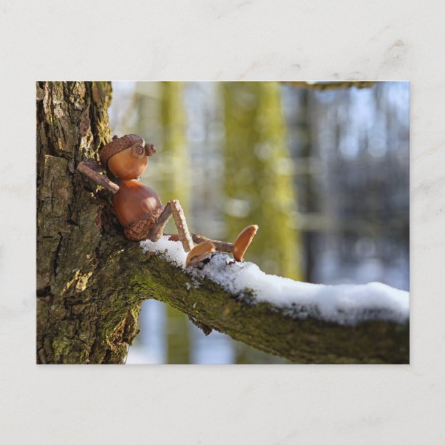Eichhörnchen-Elf in einer verschneiten Waldpostkar Postkarte (Vorderseite)