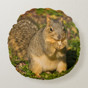 Eichhörnchen, Erdnuss, Kristallspinge Rundes Kissen