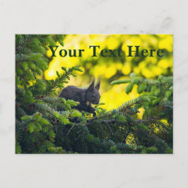 Eichhörnchen Feiertagspostkarte