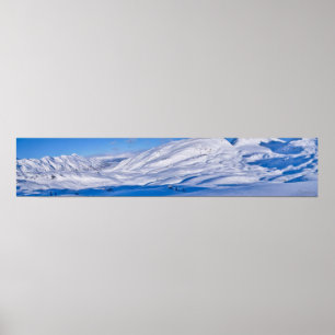 Eichhörnchen Flats Pano Poster