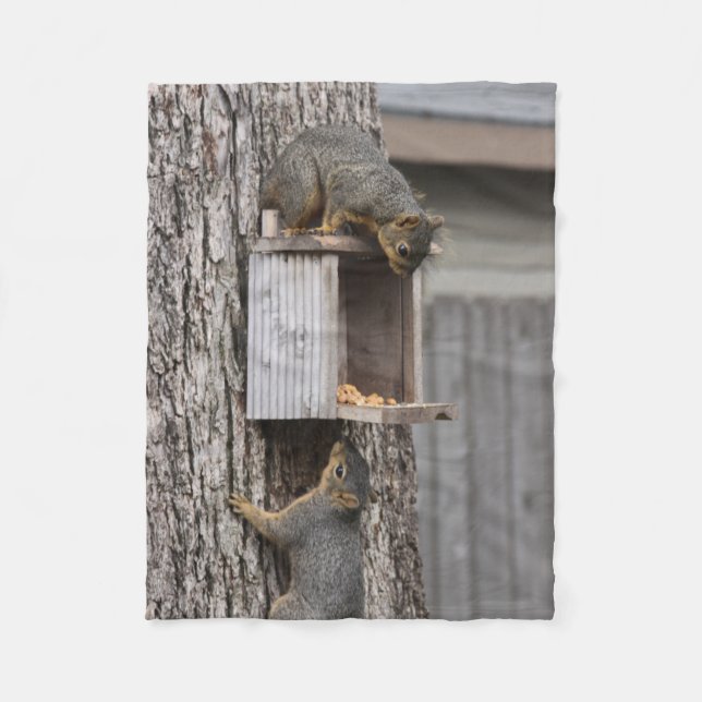 Eichhörnchen Fleece Blanket (Vorderseite)