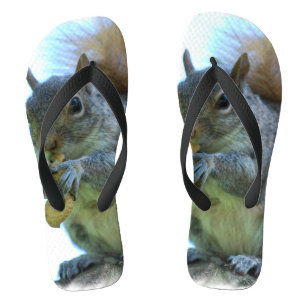 Eichhörnchen Flip Flops