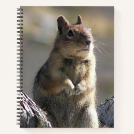 Eichhörnchen-Foto Notizbuch