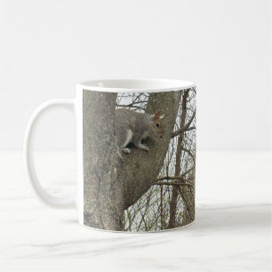 Eichhörnchen-Foto-Tasse Kaffeetasse