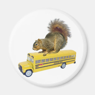 Eichhörnchen für den Schulbus Magnet