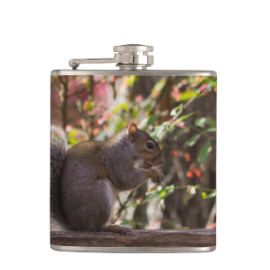 Eichhörnchen-Fütterungszeit Flachmann