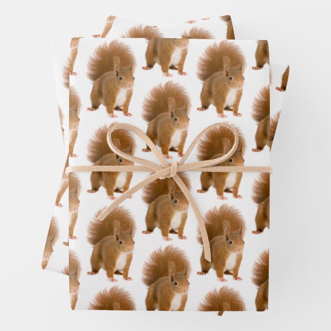 Eichhörnchen Geschenkpapier Set (Beispiel)