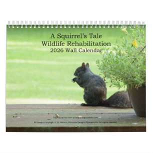 Eichhörnchen-Geschichte 2026 Wandkalender