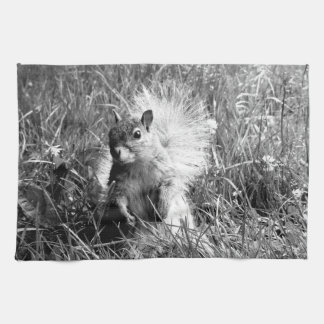 Eichhörnchen-Geschirrtuch Geschirrtuch