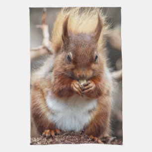 Eichhörnchen-Geschirrtuch Handtuch