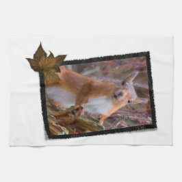 Eichhörnchen-Geschirrtuch Handtuch