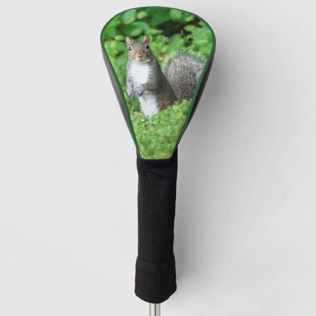 Eichhörnchen Golf Headcover (Vorderseite)