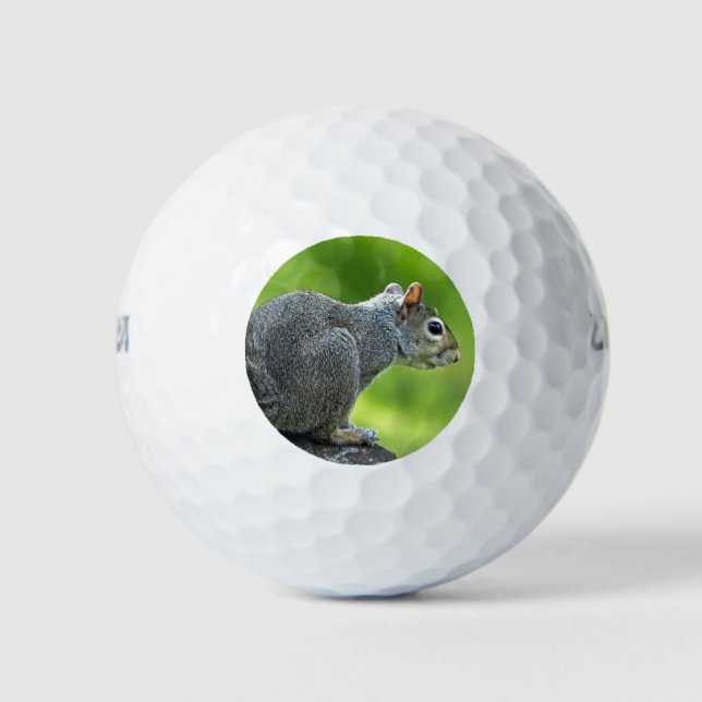 Eichhörnchen Golfball (Vorderseite)