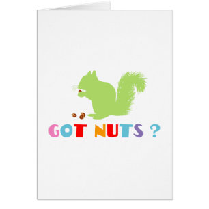 Eichhörnchen Got Nüsse?