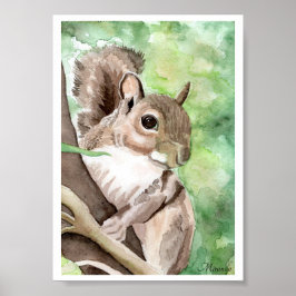 Eichhörnchen Got Nuts Art Print Ready to Frame Mir Poster