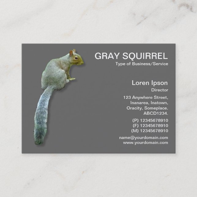 Eichhörnchen - grau visitenkarte (Vorderseite)