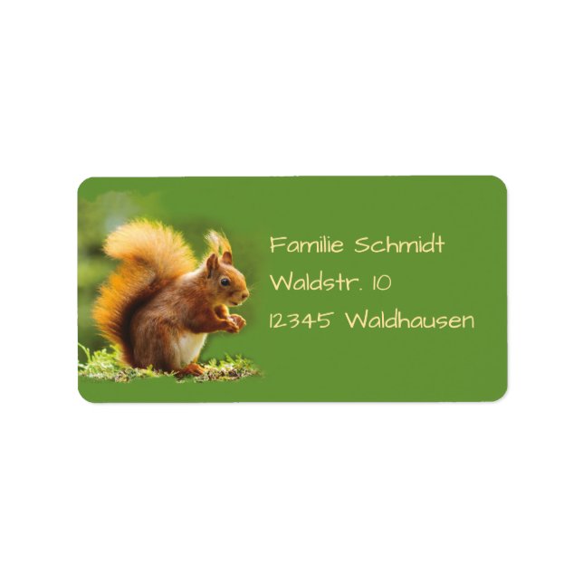 Eichhörnchen - grün | adressaufkleber (Vorne)