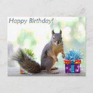 Eichhörnchen Happy Birthday! Postkarte