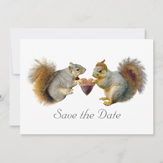 Eichhörnchen Herz-Acorn Save the Date-Karte Date (Vorderseite)