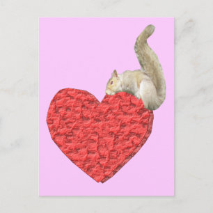 Eichhörnchen Herzrosa Postkarte