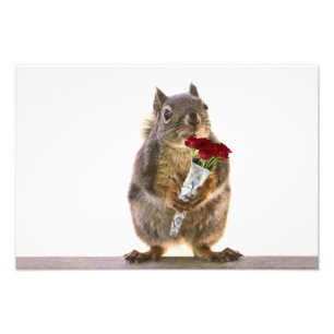 Eichhörnchen Holding Rote Rose Bouquet Fotodruck