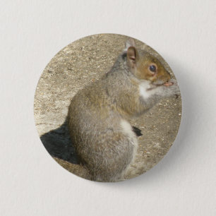 Eichhörnchen Hungry Horatio Button
